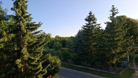 Agroturystyka Chwałowo (1)