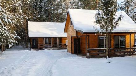 Zagajnik Białowieża (1)