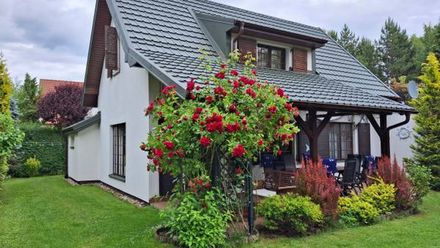 Dom Do Wynajęcia Zacisze (1)