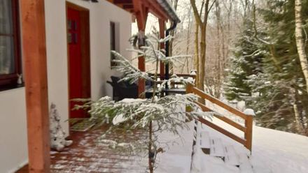 Borówkowa Dolina (1)