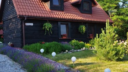 Siedlisko ,,Zenówka'' (1)