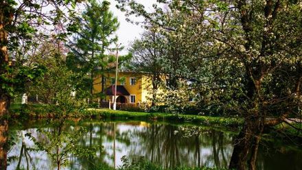 Agroturystyka Pod Lipą (1)