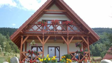 Domek Dzika Stokrotka (1)