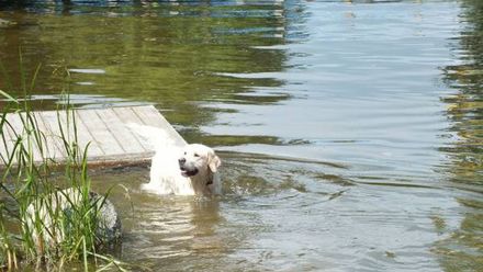 wypoczynek nad jeziorem Łaśmiady (1)
