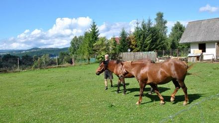Gospodarstwo Agroturystyczne Zembroń (1)