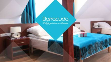 Dom Gościnny Barracuda (1)