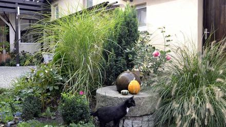 Villa pod orzechem (1)