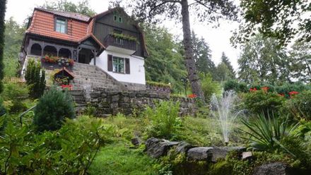 Willa Górski Pyszałek (1)