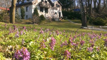 Noce i Dnie Pokoje i Apartamenty (1)