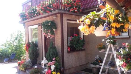 Agroturystyka Jaworowy Domek (1)