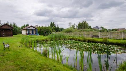 Domek przy stawie (1)