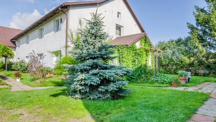 Mikoszewo wczasy nad morzem (1)