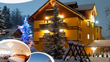 Willa Maria i Natasza (1)