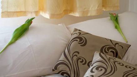 Domy Wypoczynkowe U Niedzielskich (1)