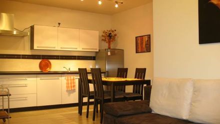 Apartament u Reni i Mirka (1)