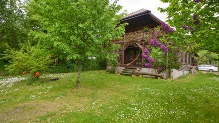 Dom w Białowieży (1)