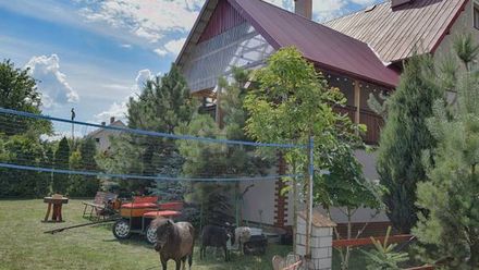 Agroturystyka u Krystyny (1)