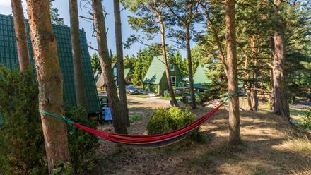 Nadmorska Polana (1)