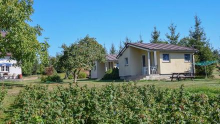 Agrowczasy nad morzem (1)