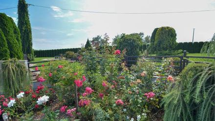 Na Wzgórzu U Marty (1)