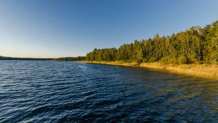 Pokoje Gościnne Polanka (1)