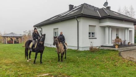 Agroturystyka Mustang (1)