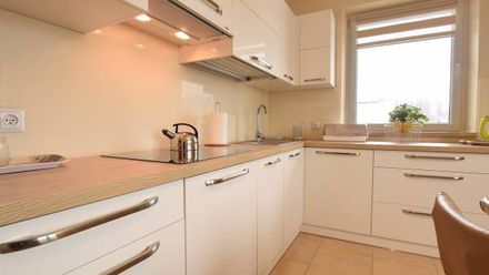 Apartament blisko Bulwarów i Parku (1)