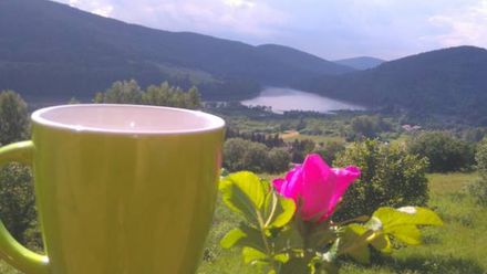 Domki na Żukowcu (1)