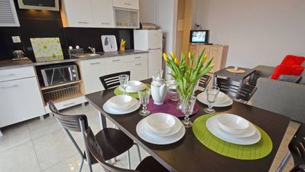 Apartament Zator (1)