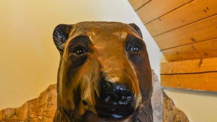 Gawra Dom Gościnny (1)