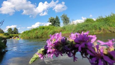 Domki na Kliszówce (1)
