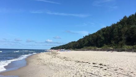 Złotniki Pole Campingowe i Domki (1)