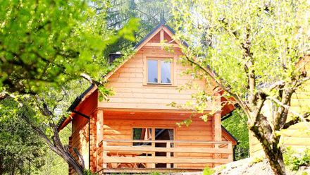 Niedźwiedziówka (1)