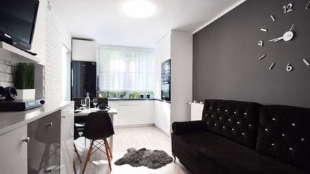 Mieszkanie w centrum (1)