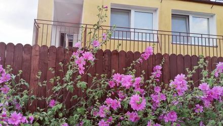 Pokoje Gościnne U Eli (1)