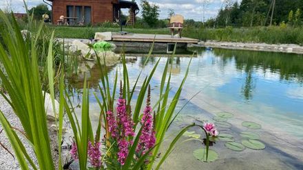 Lessowe Wzgórze (1)