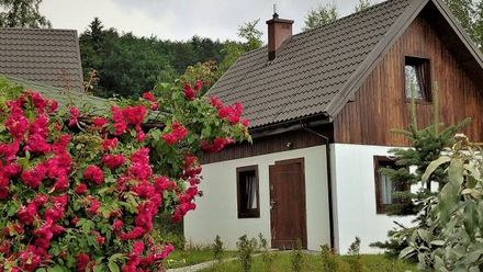Domki AGAS (1)