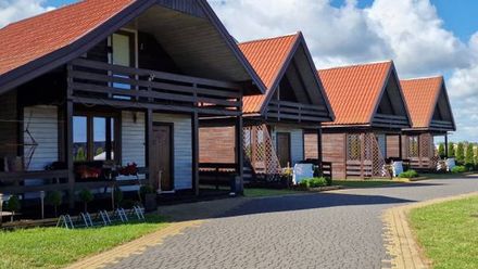 Uśmiechnięty Kaktus (1)