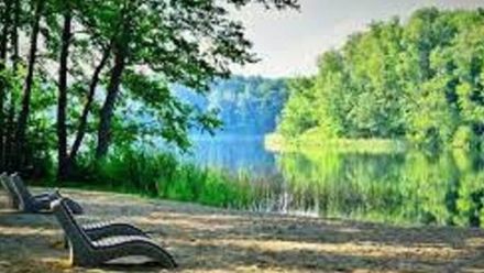 Domek Miętowy nad jeziorem całoroczny (1)