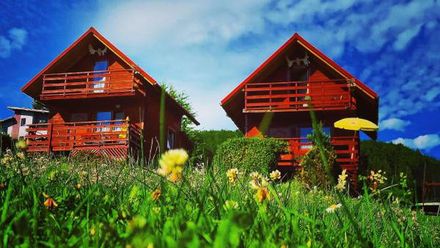 Noclegi i domki wypoczynkowe Daglezja (1)