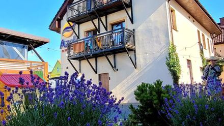 Pokoje Gościnne Azak Przy Plaży (1)