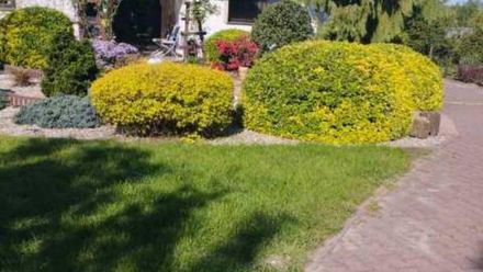 Noclegi pracownicze (1)