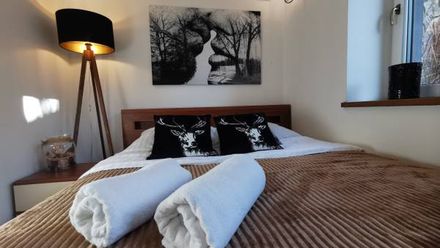 Kryształowy Apartament (1)