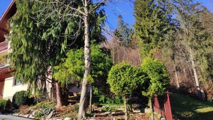 Pokoje gościnne (1)