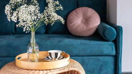 Przystań Stegna (1)