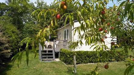 Domek W Zwierzyńcu (1)