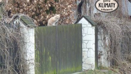 Galeria KLIMATY w Mięćmierzu - Dom Pracy Twórczej (1)
