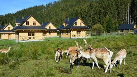 Domki Wypoczynkowe Romanówka (1)