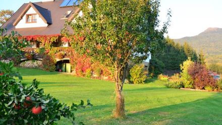 Pokoje i apartamenty Werchowyna (1)