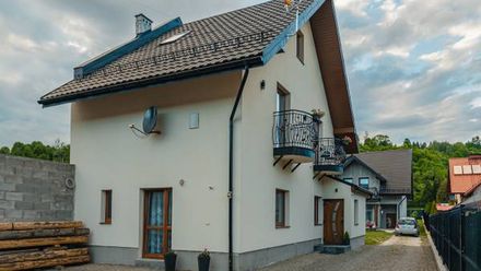 Willa ligasówka (1)